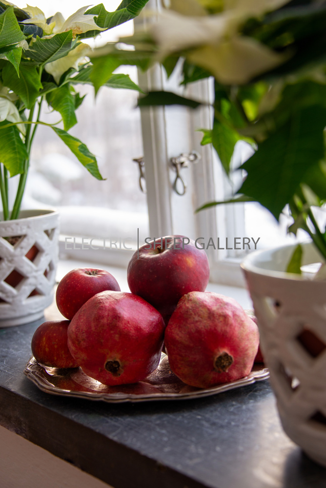 DSC8359