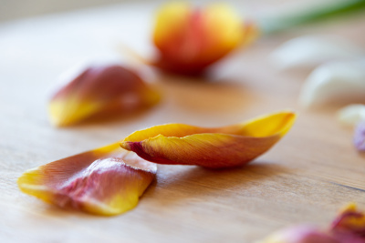 Tulip-2
